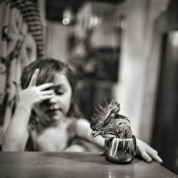 Alain Laboile, fotoforum Magazin