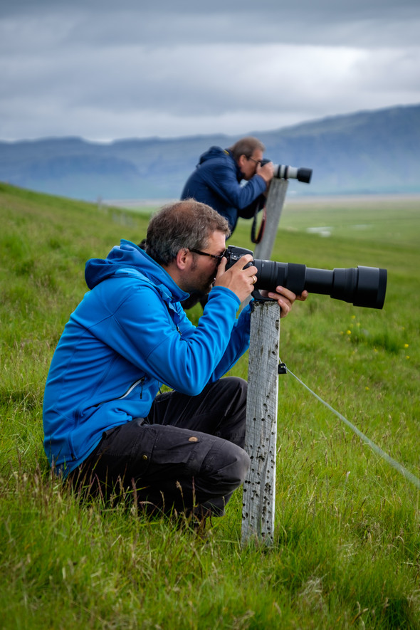 Fotografieren mit dem Sigma 5-6,3/150-600 mm DG OS HSM Contemporary.