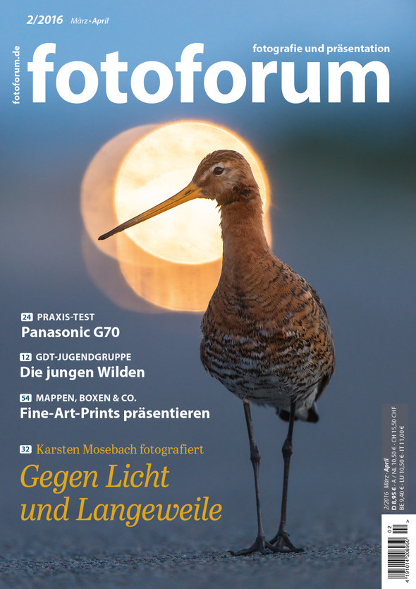 fotoforum Titelbild Heft 2/2016